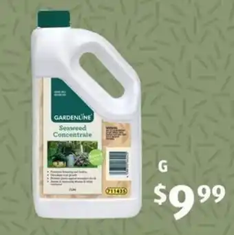 ALDI Seaweed Concentrate offer