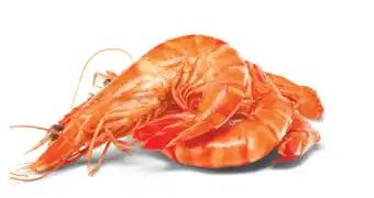Woolworths Thawed large australian cooked tiger prawns offer