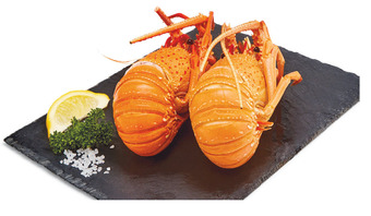 Woolworths Thawed cooked wa rock lobster offer