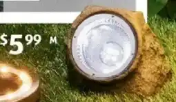 ALDI Solar Rock Light offer