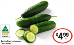 IGA Australian lebanese cucumbers offer