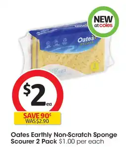 Coles Oates Earthly Non-Scratch Sponge Scourer offer