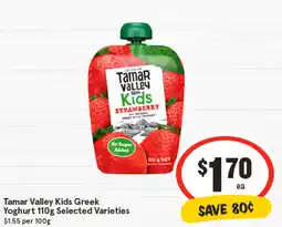 IGA Tamar valley kids greek yoghurt offer