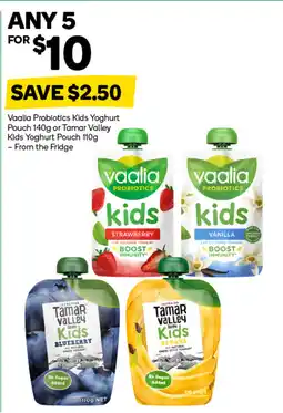 Woolworths Vaalia probiotics kids yoghurt pouch or tamar valley kids yoghurt pouch offer