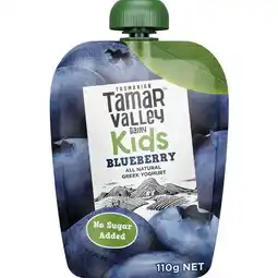 Woolworths Tamar Valley Kids Yoghurt Pouch 110g – From the Fridge offer