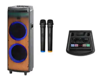 BIG W Blaupunkt 12-inch party speaker with fire lighting offer
