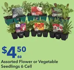 Ritchies Assorted Flower or Vegetable Seedlings offer