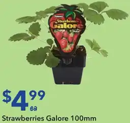 Ritchies Strawberries Galore offer