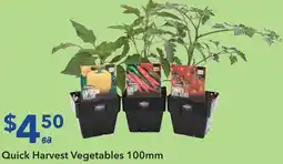 Ritchies Quick Harvest Vegetables offer
