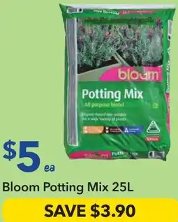 Ritchies Bloom Potting Mix offer