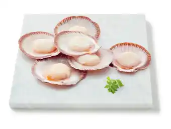 Coles Coles thawed australian half shell scallops large offer