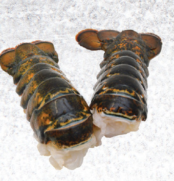 Drakes Imported lobster tails thawed offer