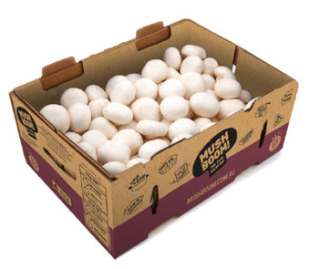 Drakes Australian button mushrooms offer