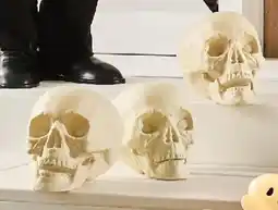 Kmart Bag of Skulls offer