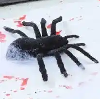 Kmart Flocked Tarantulas offer