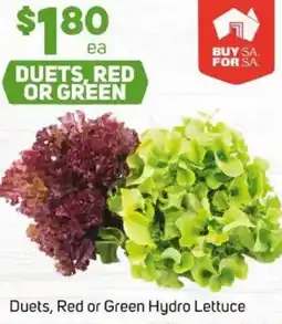 Foodland Duets, red or green hydro lettuce offer