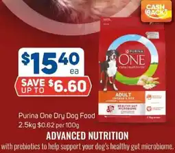 Foodland Purina One Dry Dog Food offer
