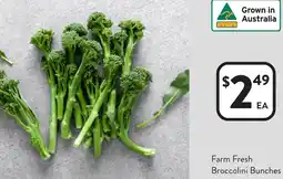 Foodworks Farm Fresh Broccolini Bunches offer