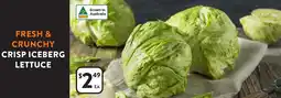 Foodworks Crisp iceberg lettuce offer