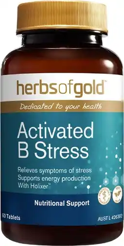 healthylife Herbs of Gold Activated B Stress 60 Tablets offer
