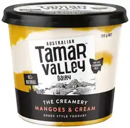 IGA Tamar Valley Greek Style Yoghurt 700g Selected Varieties offer