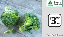 Foodworks Farm Fresh Broccoli offer