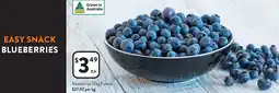 Foodworks Blueberries offer