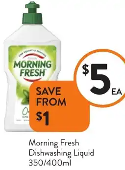 Foodworks Morning Fresh Dishwashing Liquid offer
