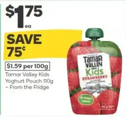 Woolworths Tamar valley kids yoghurt pouch offer