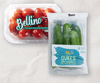 Australian bellino tomatoes 200g pack or baby cucumbers 250g pack