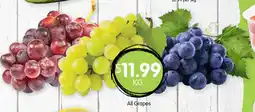 Spudshed All grapes offer