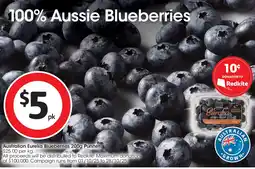 Coles Australian Eureka Blueberries Punnet offer