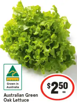 IGA Australian Green Oak Lettuce offer