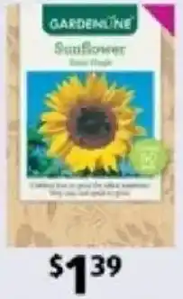 ALDI Packet Seeds offer