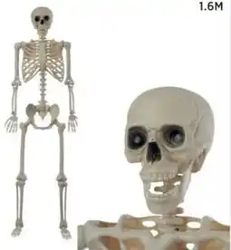 Spotlight Spooky hollow Graveyard Nightmare Lifesize Skeleton offer