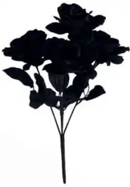 Spotlight Bunch of Roses offer