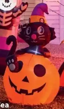 Spotlight Inflatable Cat offer