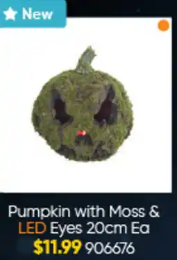Lombard Pumpkin with Moss & LED Eyes offer