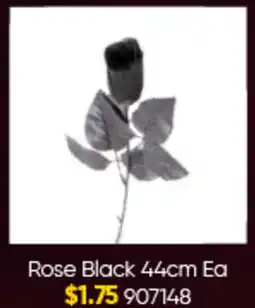 Lombard Rose Black Ea offer