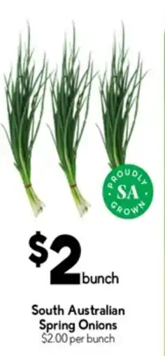 Drakes South australian spring onions offer
