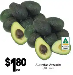 Drakes Australian avocados offer