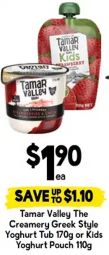 Drakes Tamar valley the creamery greek style yoghurt tub or kids yoghurt pouch offer