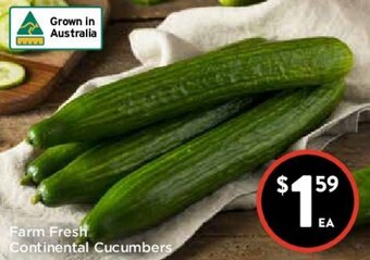 Foodworks Farm Fresh Continental Cucumber offer