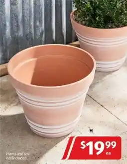 ALDI Tuscan fibre clay-look planter offer