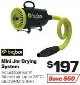 Repco Mini Jnr Drying System offer