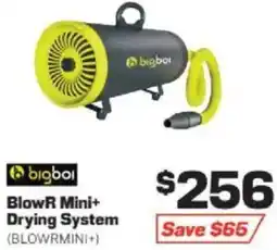 Repco bigboi BlowR Mini+ Drying System offer