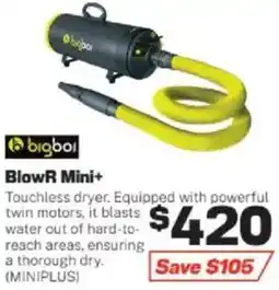 Repco bigboi BlowR Mini+ offer