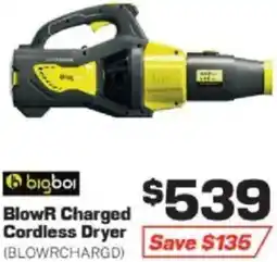 Repco bigboi BlowR Charged Cordless Dryer offer
