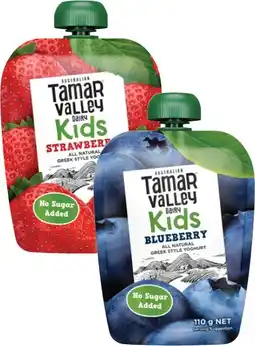 Coles Tamar Valley Kids Yoghurt Pouch 110g offer
