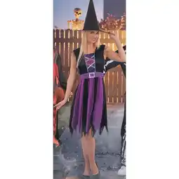 Woolworths Halloween Costume Adult Purple Witch offer